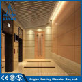 Outside Villa Residential Screw Lift Elevator